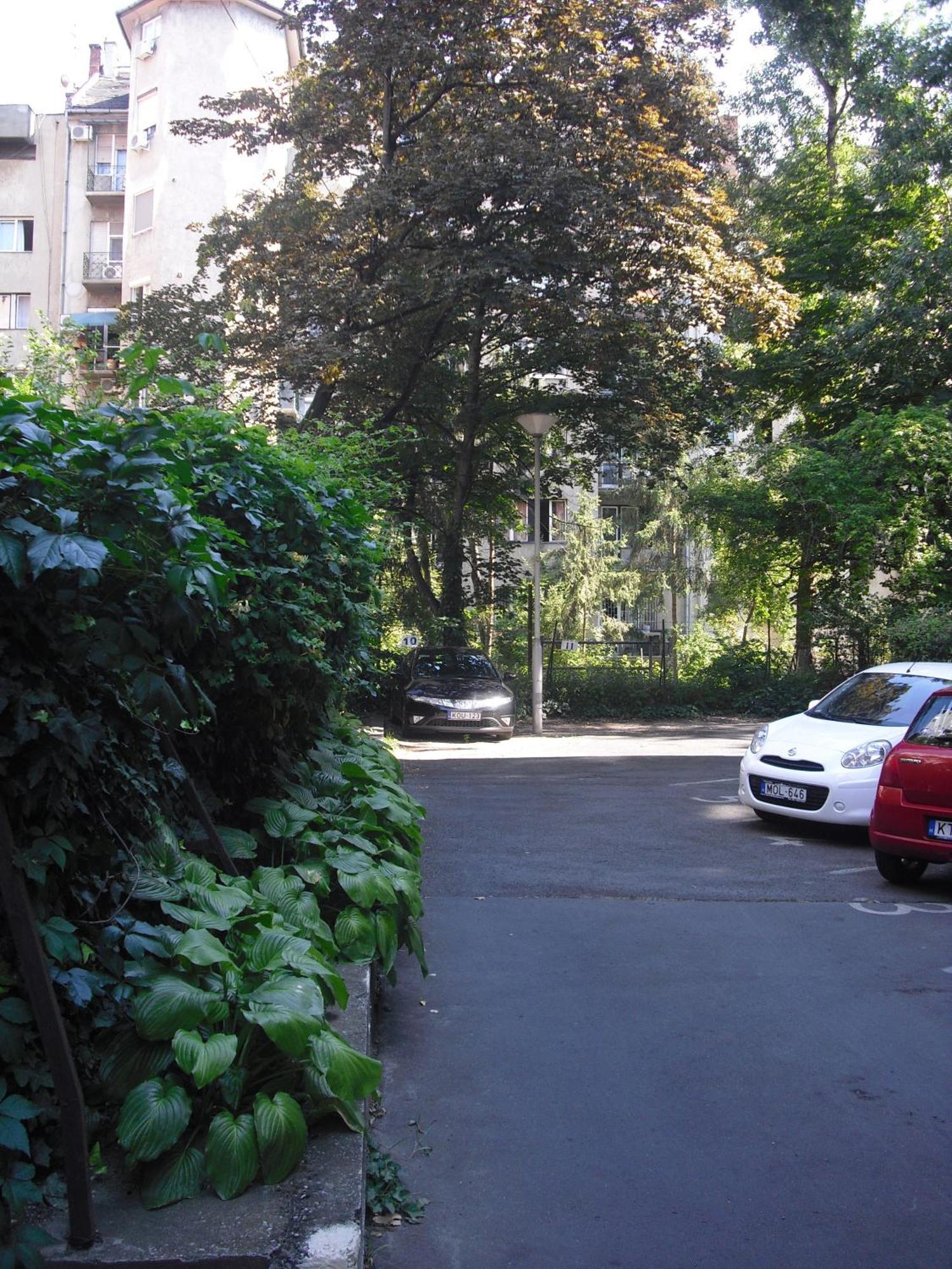 Young Center Будапеща Екстериор снимка